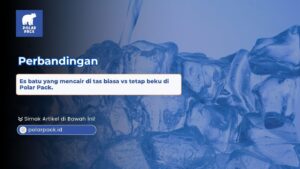 Perbandingan ketahanan es batu yang mencair di tas biasa vs kondisi tetap beku di dalam tas thermal Polar Pack